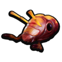 Earwig Head